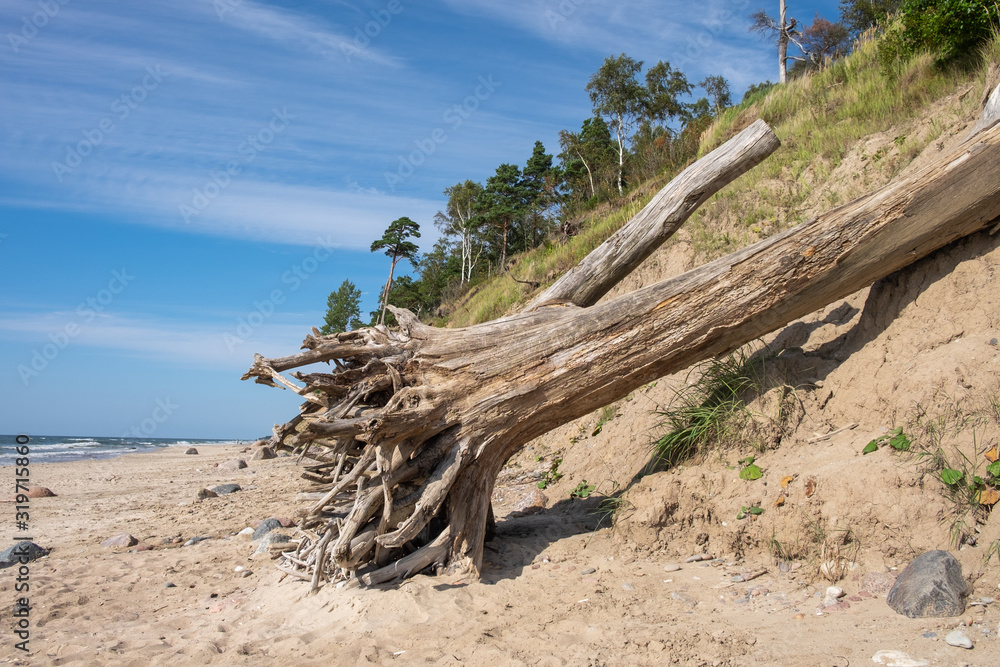 Steilküste an der Ostsee bei Karkle Liauen Steilküste an der Ostsee bei Karkle Liauen