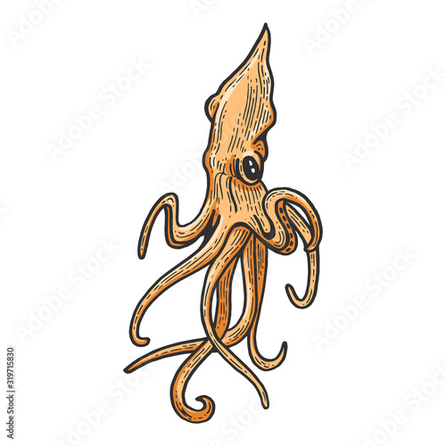 Squid animal sketch engraving vector illustration. Scratch board style imitation. Black and white hand drawn image.