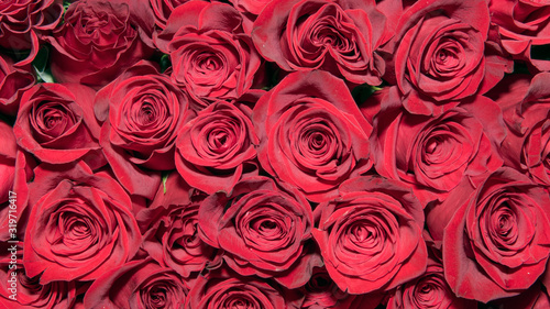 Background of bouquets of flowers. Roses. Design. Close up.