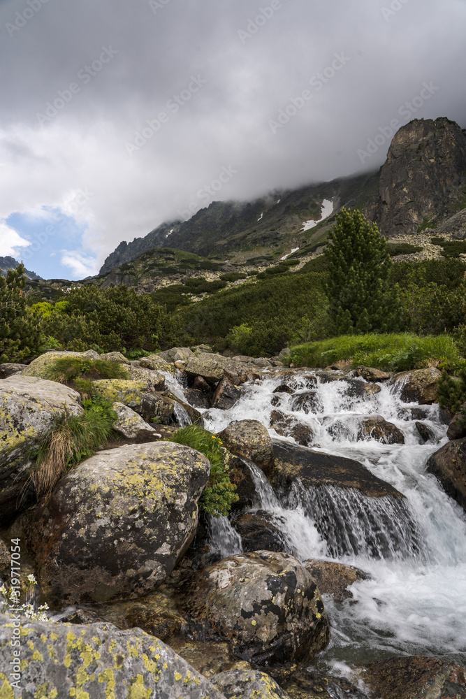 River stream in High Tatras mountains