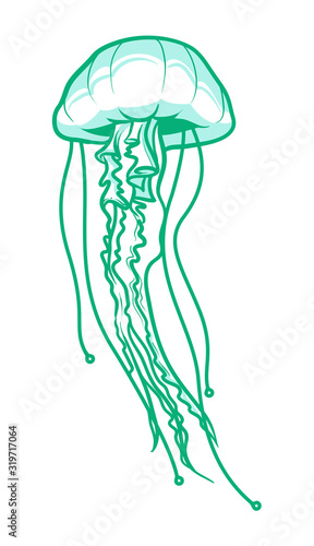Illustration in sea jellyfish vectors