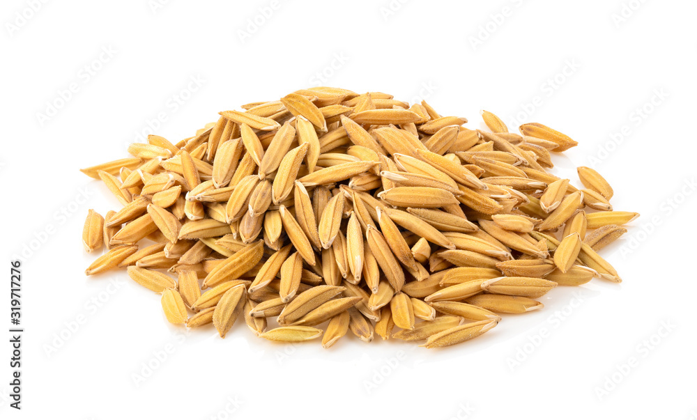 paddy rice seed of thai jasmine paddy rice seed of thai jasmine