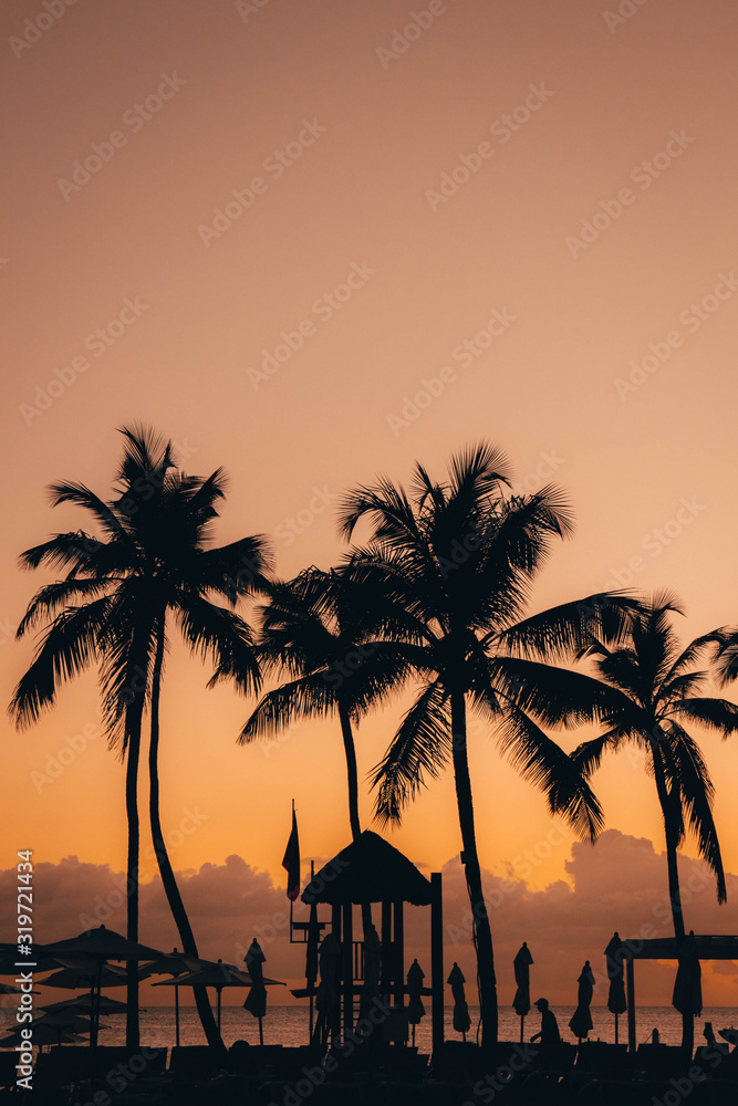 Obraz premium Palmtree beach view