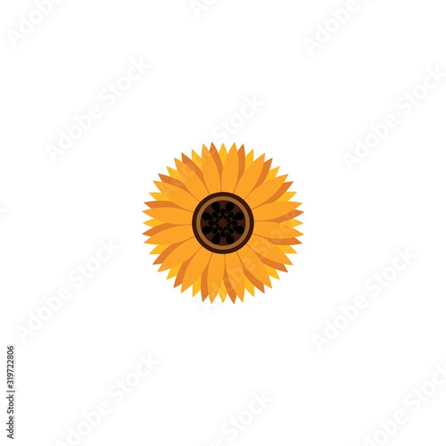 Vector illustration icon of beautiful sunflower with white background