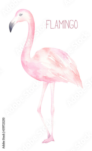 Cute Pink Flamingo Illustration