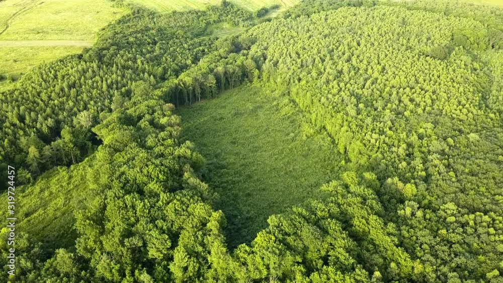 Top down aerial view of green summer forest with large area of cut down trees as result of global deforestation industry. Harmful human influence on world ecology. Top down aerial view of green summer forest with large area of cut down trees as result of global deforestation industry. Harmful human influence on world ecology.