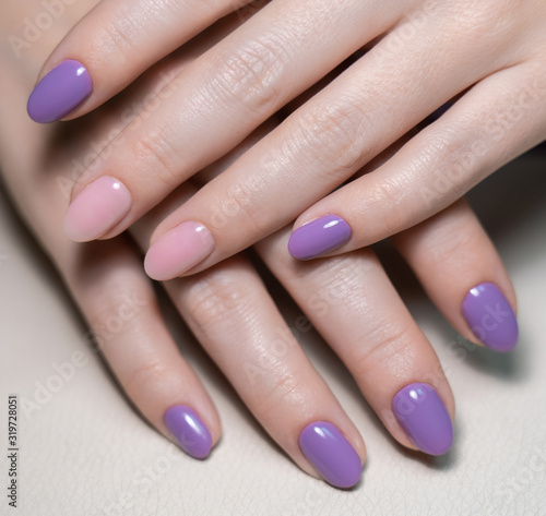 Closeup view photography of beautiful female hands with modern trendy gel polished rounded nails painted with two colors in pink and purple. 