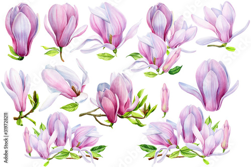 Set of beautiful watercolor flowers and leaves of magnolia on an isolated white background. Spring floral design #319728211