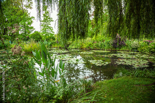 Claude Monet s water garden in Giverny  France