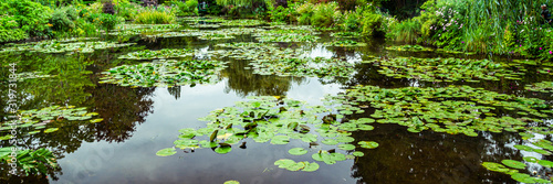 Fotografia Claude Monet's water garden in Giverny, France