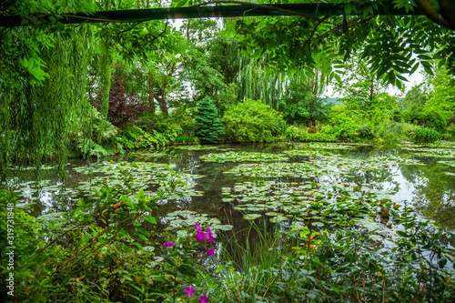 Fototapeta Claude Monet's water garden in Giverny, France