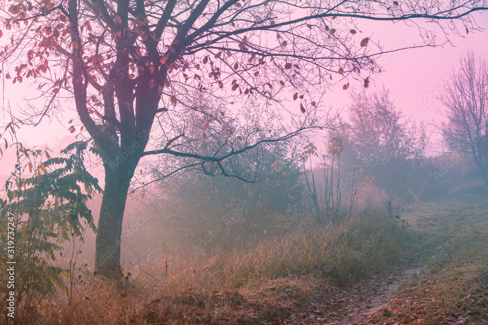 Early misty morning in the countryside. Rural landscape in autumn. Serenity landscape Early misty morning in the countryside. Rural landscape in autumn. Serenity landscape