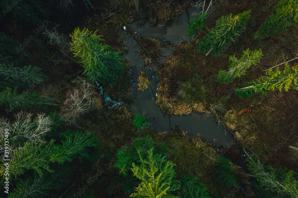 Aerial view on wild curved pine forest river from above Aerial view on wild curved pine forest river from above