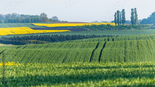 Spring landscape of farmland in Poland.
