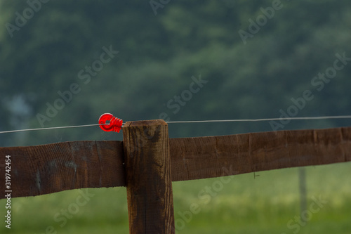 fence on the field, saerbeck gemany photo