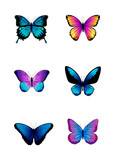 Set of different colored butterflies. 