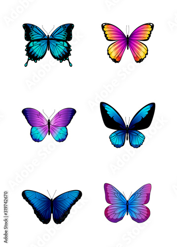 Set of different colored butterflies. 