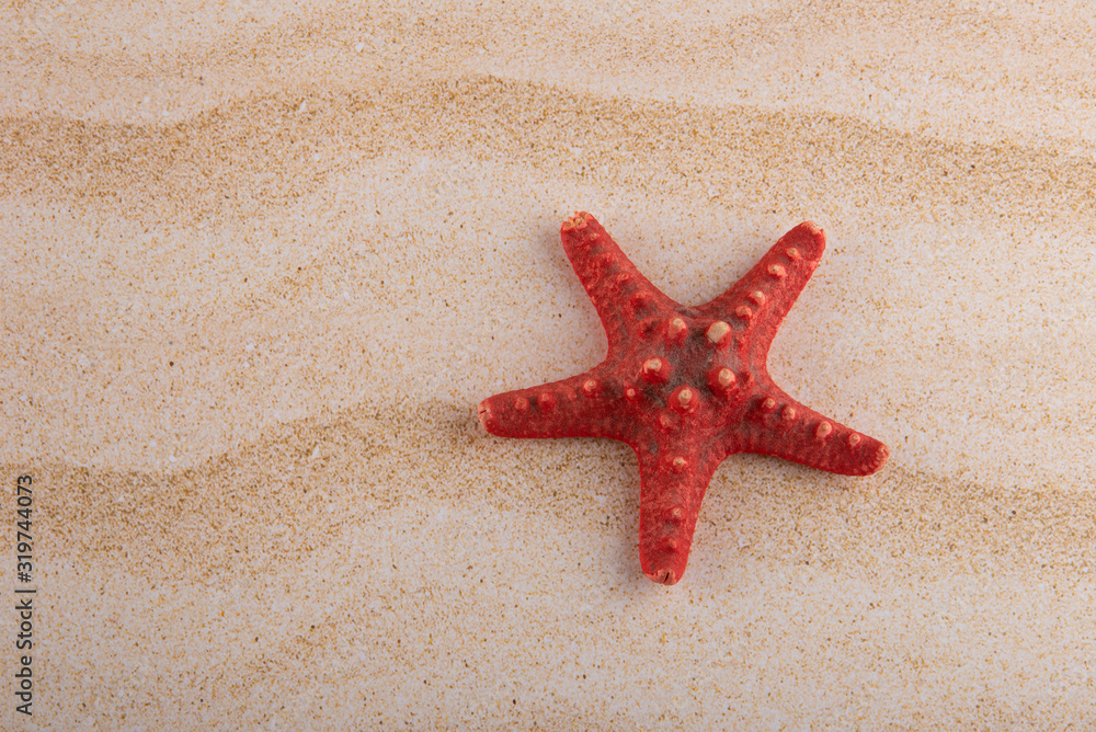 starfish on the sand, vacation memories. starfish on the sand, vacation memories.