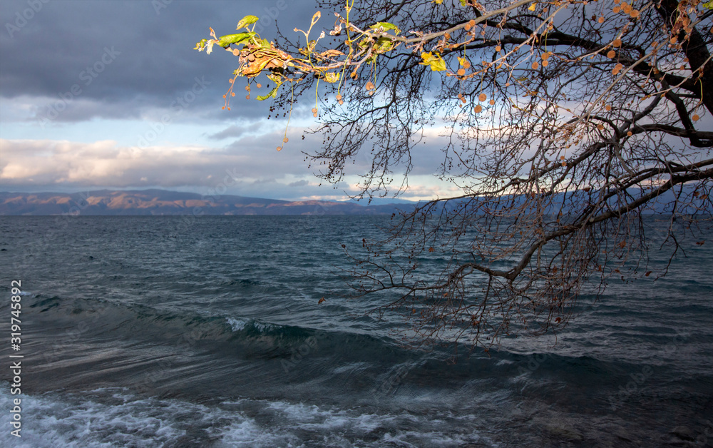 A winter landscape on the shore of Lake Ohrid. With a tree in the foreground. Northern Macedonia. A winter landscape on the shore of Lake Ohrid. With a tree in the foreground. Northern Macedonia.