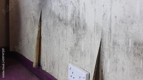 Do-it-Yourself (DIY) man doing home improvement work, redecorating, stripping old and damp mouldy wallpaper from a house interior wall.