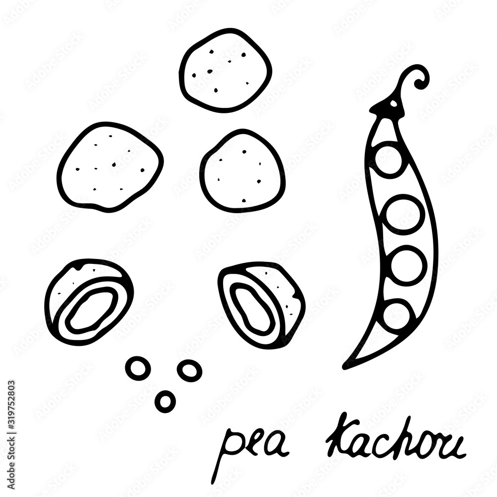 Hand drawn isolated indian food icon. Black outline illustration of indian dish. Indian snack pea kachori. 