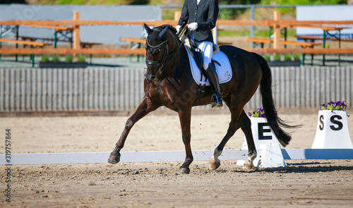 Dressage horse with rider during a dressage test at the first step to the traverse..