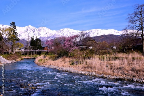 Wallpaper Mural 白馬村の春 Torontodigital.ca