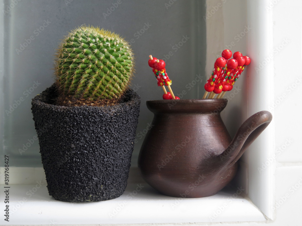 cactus and ceramic vase cactus and ceramic vase