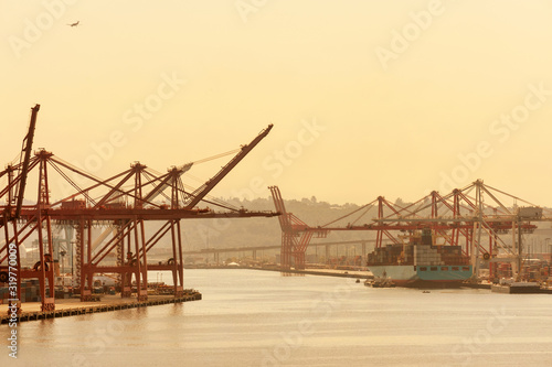 Cranes, cargo ship and containers at Port of Seattle terminal at sunset, Washington, USA