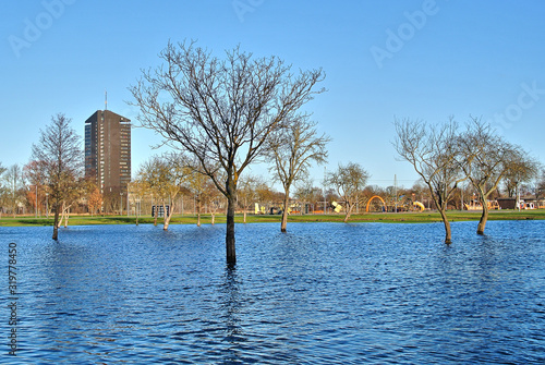 Riga, Latvia - Lucavsala Recreation Park, unusual weather in December, flooding, trees without leaves standing in the water, green grass and blue sky in the afternoon. photo