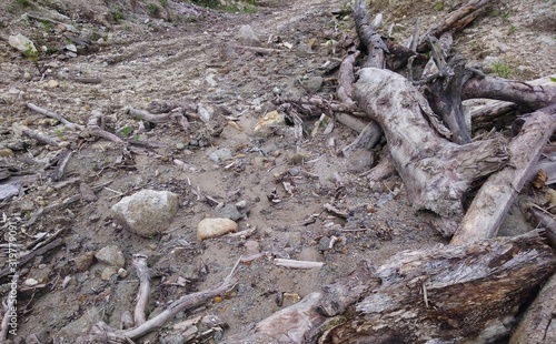 Soil heave near the road