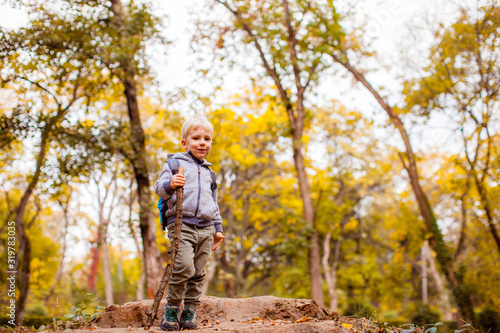 Lovely child boy enjoying nature in autumn park © oksix