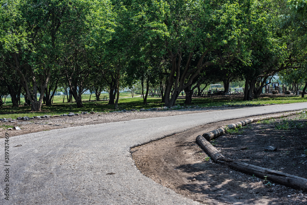 Obraz premium path in the park