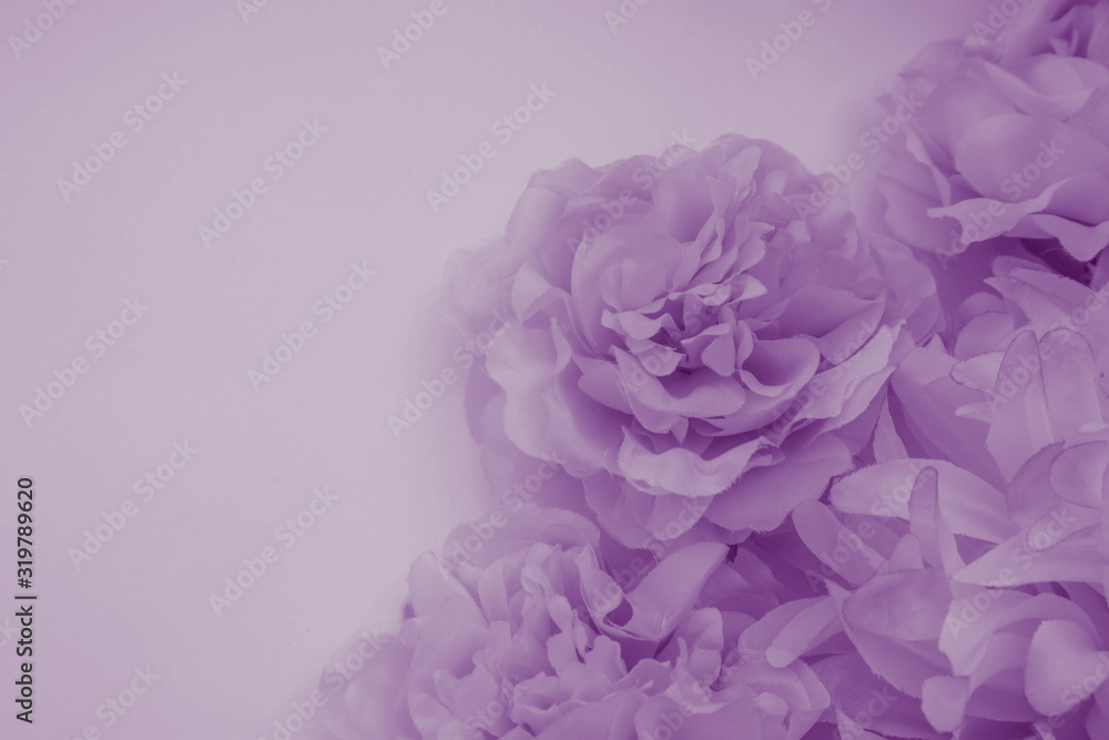 Beautiful abstract color blue and purple flowers on white background and blue flower frame and pink leaves texture, light purple background, colorful banner happy valentine