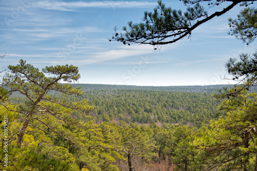 Canvas Print Sunny view across pine forest treetops at Robber's Cave, Oklahoma, in very early