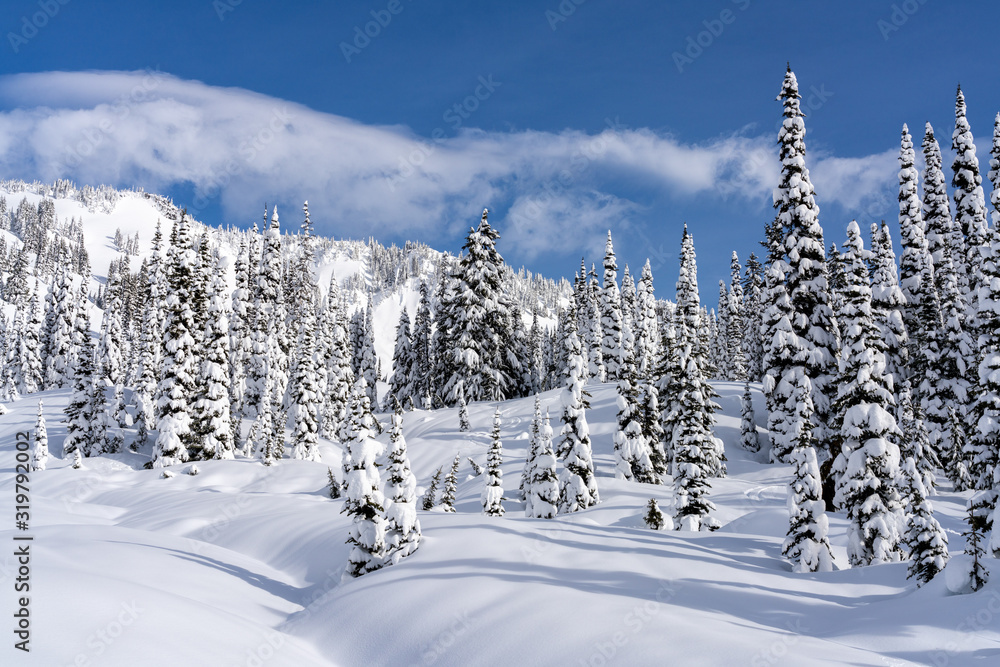 Fototapeta premium Mountain Snow At Mount Rainier National Park