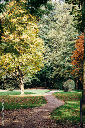 Path in the Park. Green is a beautiful Park. Park view