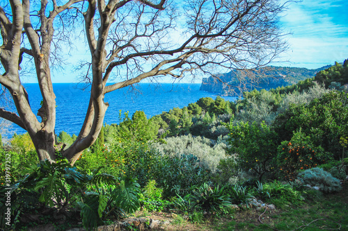 Scenic view of coast in Deia  Mallorca  Spain