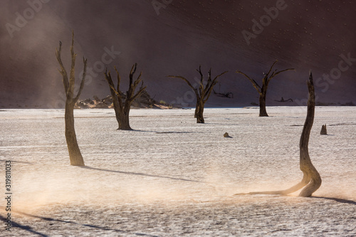 Silhouettes of dry hundred years old trees in the desert among red sand dunes and whirlwind. Unusual surreal alien landscape with dead skeletons trees. Deadvlei, Namib-Naukluft National Park, Namibia.