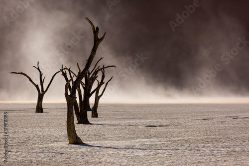 Silhouettes of dry hundred years old trees in the desert among red sand dunes and whirlwind. Unusual surreal alien landscape with dead skeletons trees. Deadvlei, Namib-Naukluft National Park, Namibia.