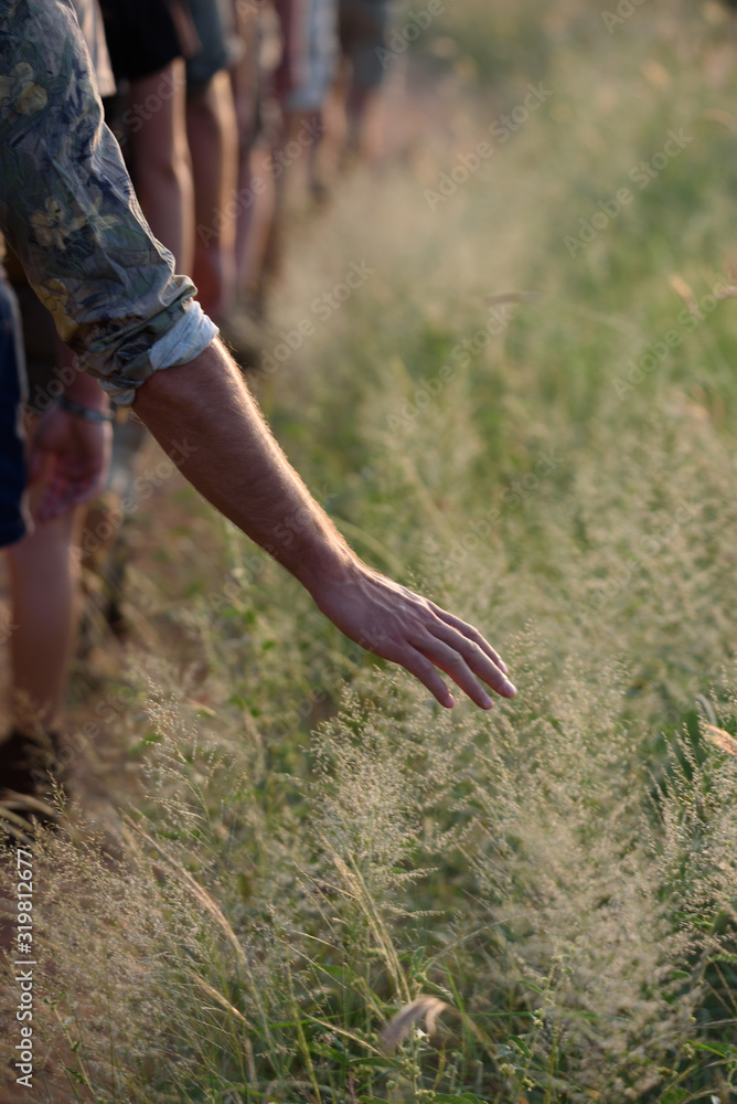 Nahaufnahme einer Hand im Gras Nahaufnahme einer Hand im Gras