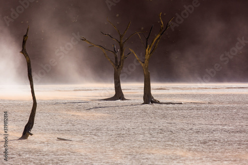 Silhouettes of dry hundred years old trees in the desert among red sand dunes and whirlwind. Unusual surreal alien landscape with dead skeletons trees. Deadvlei, Namib-Naukluft National Park, Namibia.
