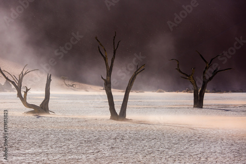 Silhouettes of dry hundred years old trees in the desert among red sand dunes and whirlwind. Unusual surreal alien landscape with dead skeletons trees. Deadvlei, Namib-Naukluft National Park, Namibia.