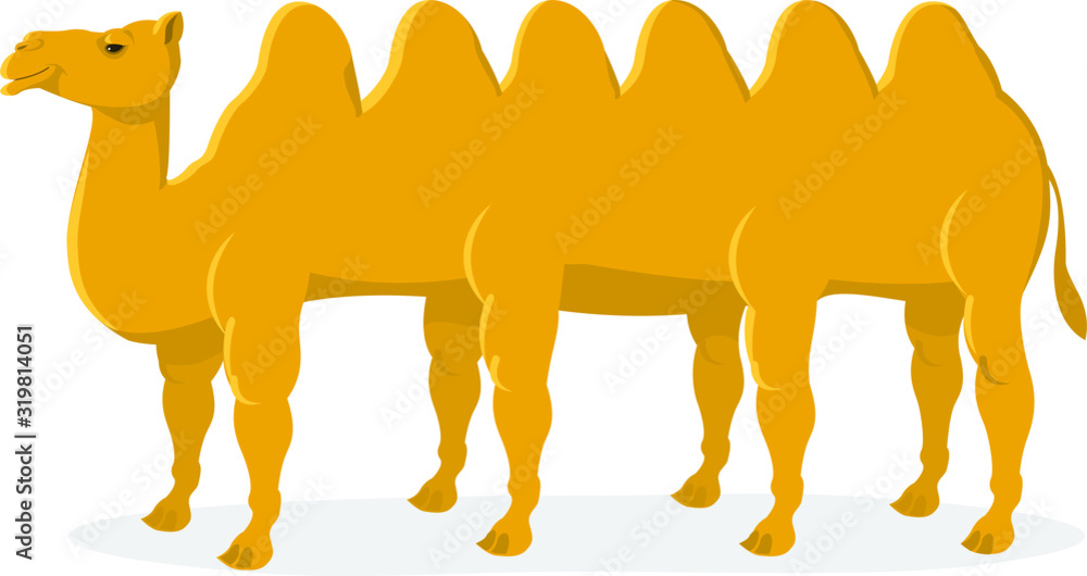 Naklejka premium long camel 