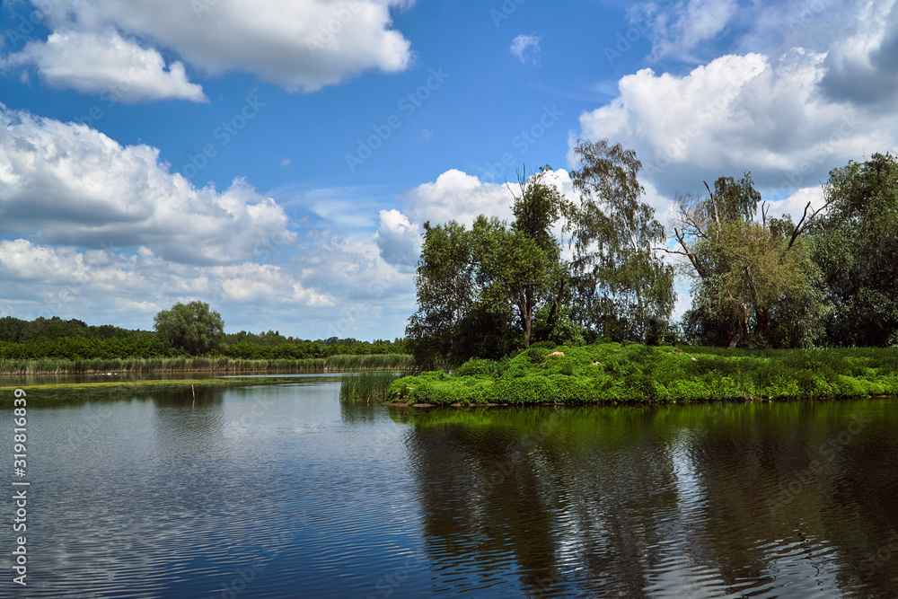 Fototapeta premium Landscape with lake and forest on a summer day in Poland.