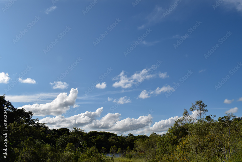 Horizonte de floresta tropical, céu azul com nuvem