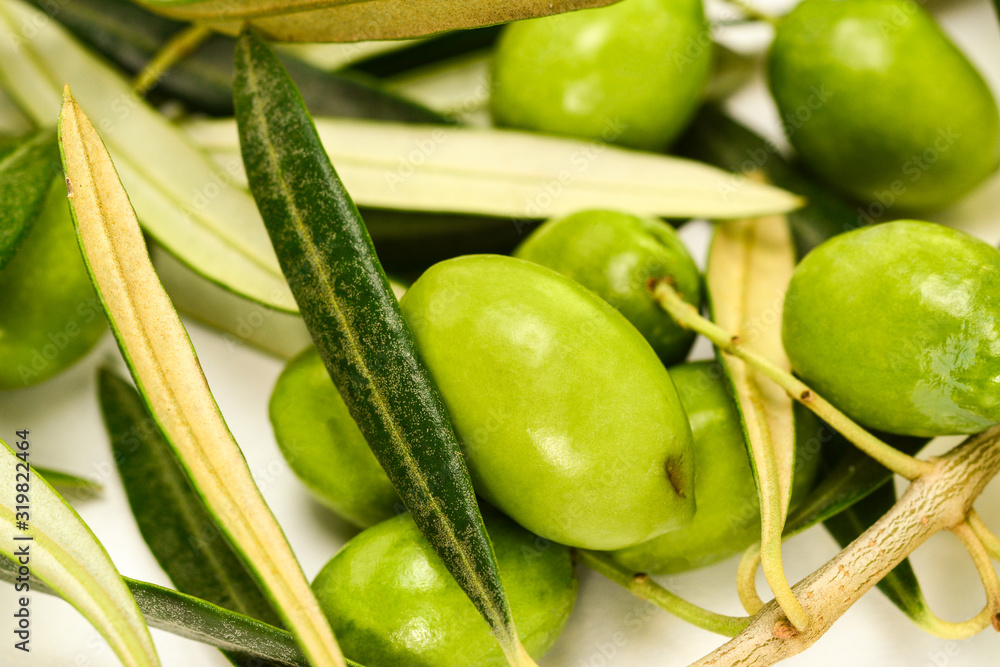Green olives. Real olive branches with leaves and giant olives, close-up macro.