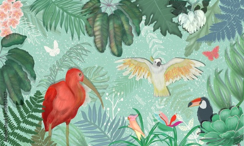 Illustration featuring a toucan, a cockatoo in a wild jungle.