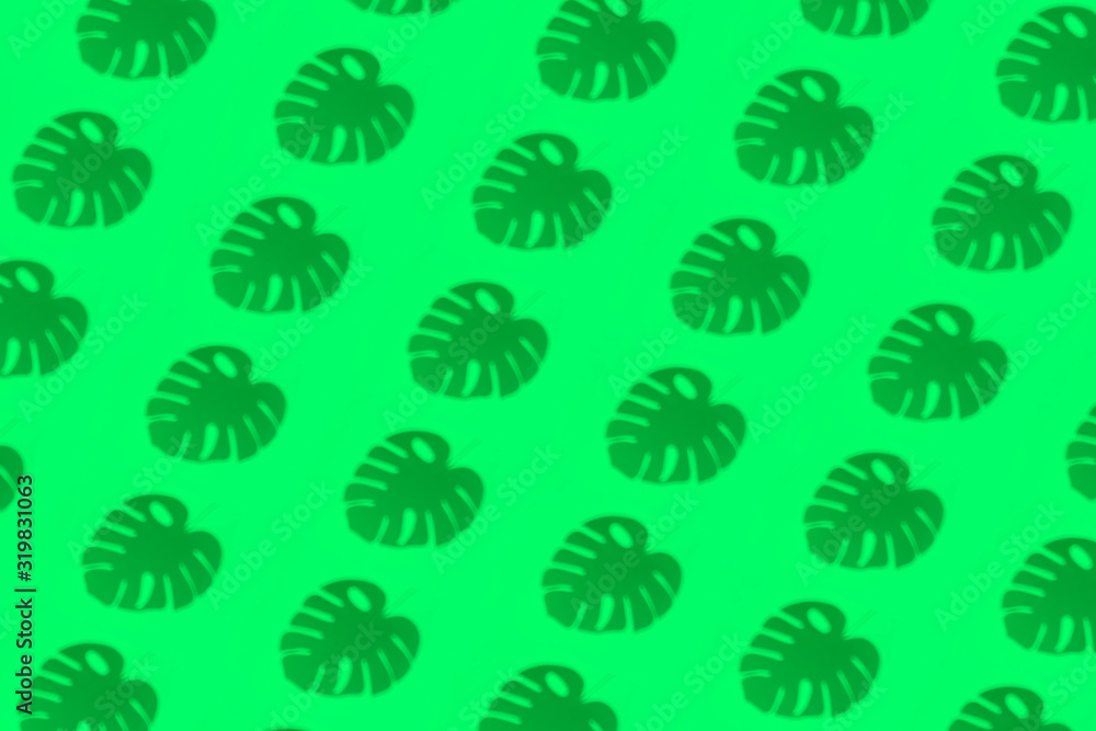 Pattern from the shadows of tropical leaves and plants on a colored clean background Pattern from the shadows of tropical leaves and plants on a colored clean background