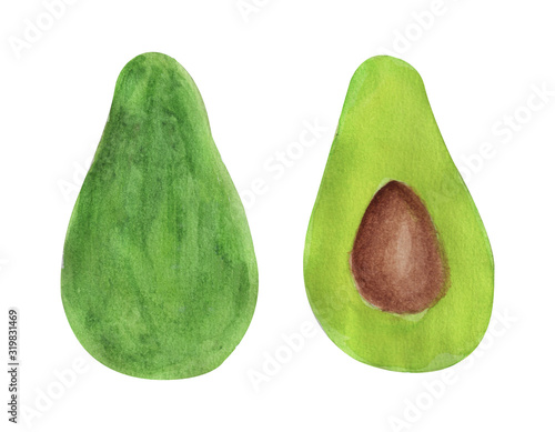 Hand drawn watercolor avocado slices set on white background. Watercolor avocado slices collection. Drawn colored avocado
